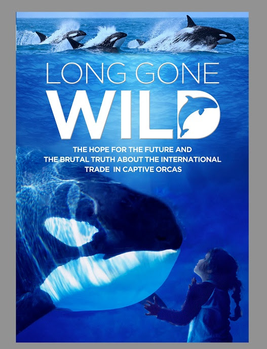Long Gone Wild Poster