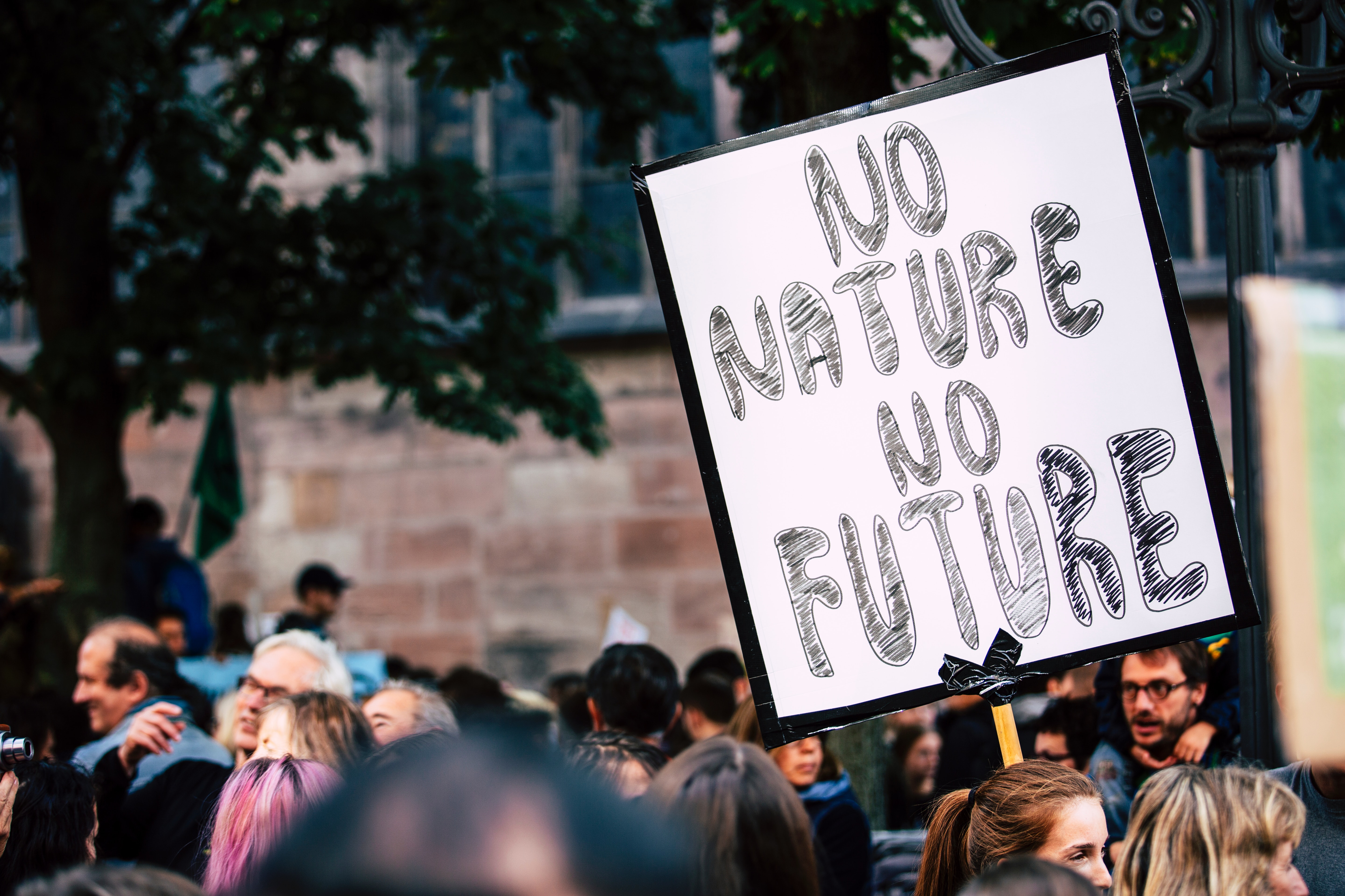 Protest Sign in Global Climate Strike