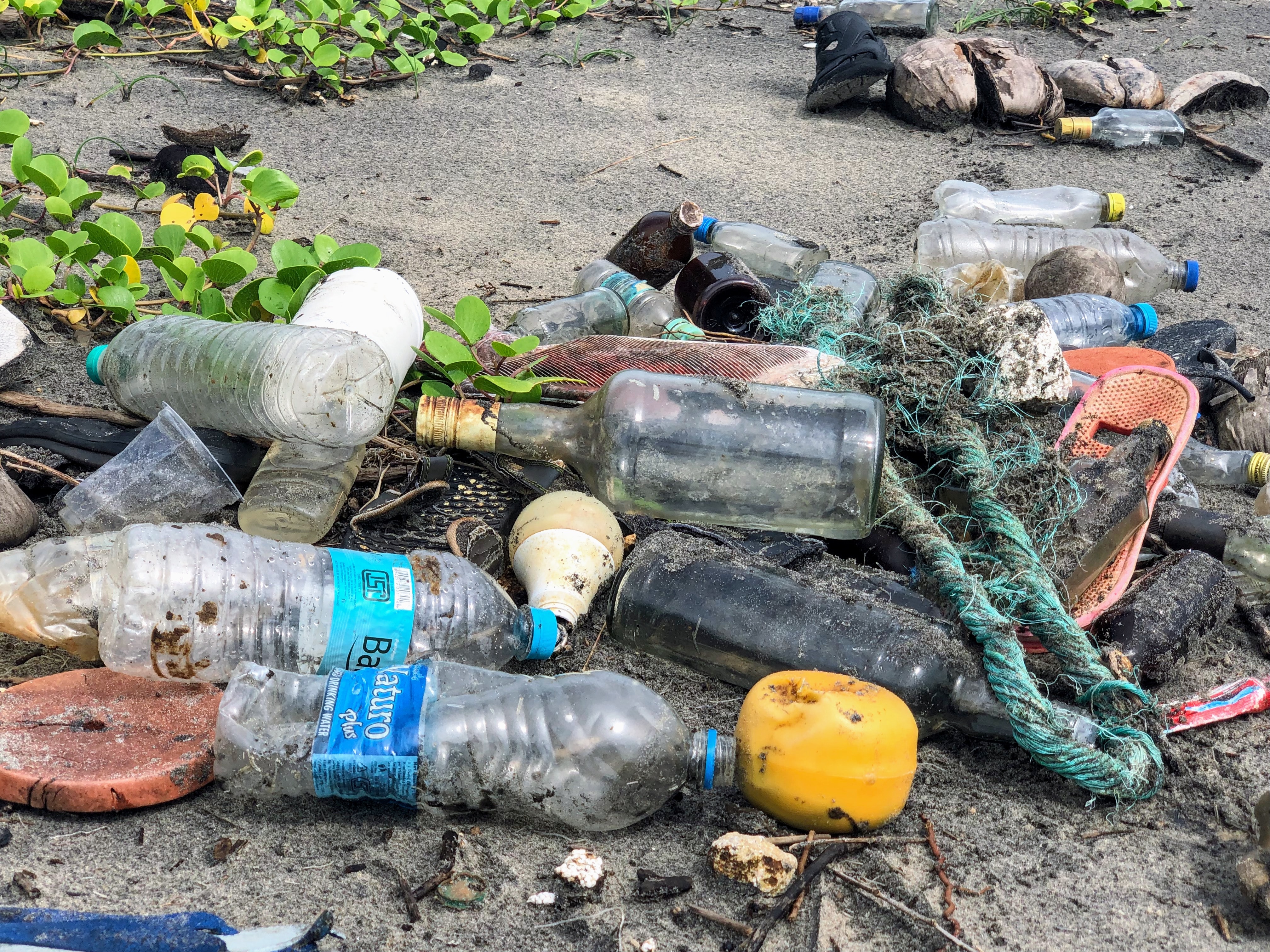 Plastic Bottles in Beach Trash