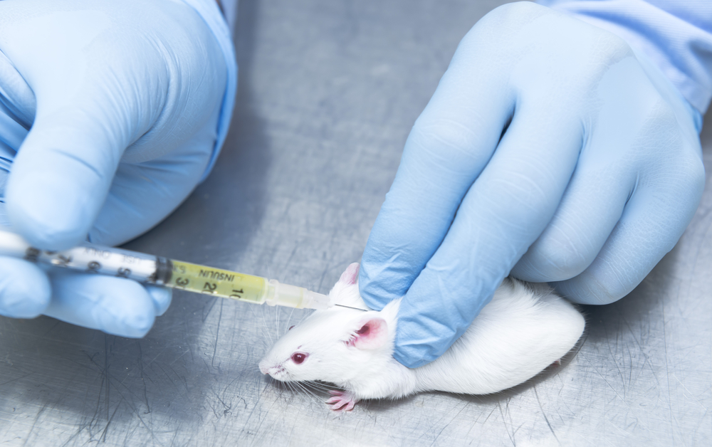 Mouse being injected in lab