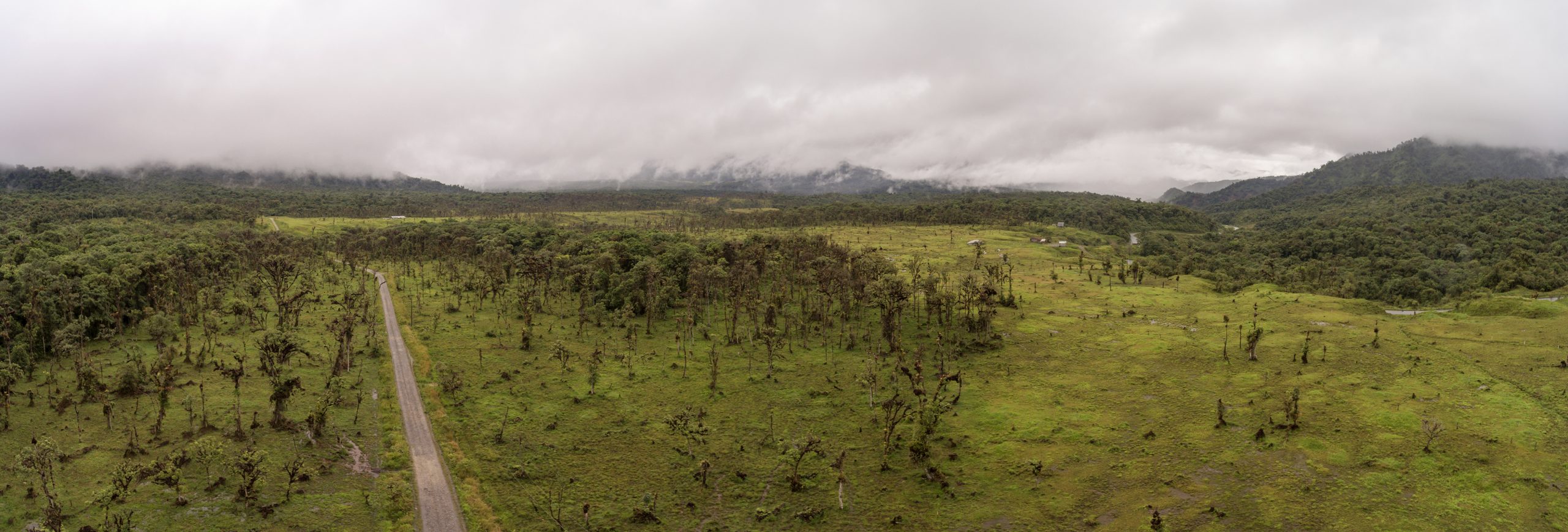Aerial view of deforestation along a road cut through montane rainforest on the Amazonian slopes of the Andes in Ecuador. The forest is being cleared for cattle farming.
