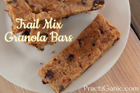 Trail Mix Granola Bars