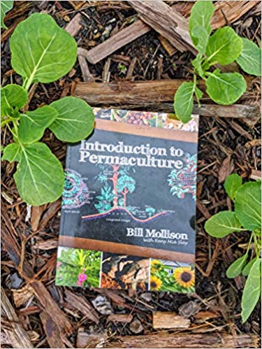 intro to permaculture book