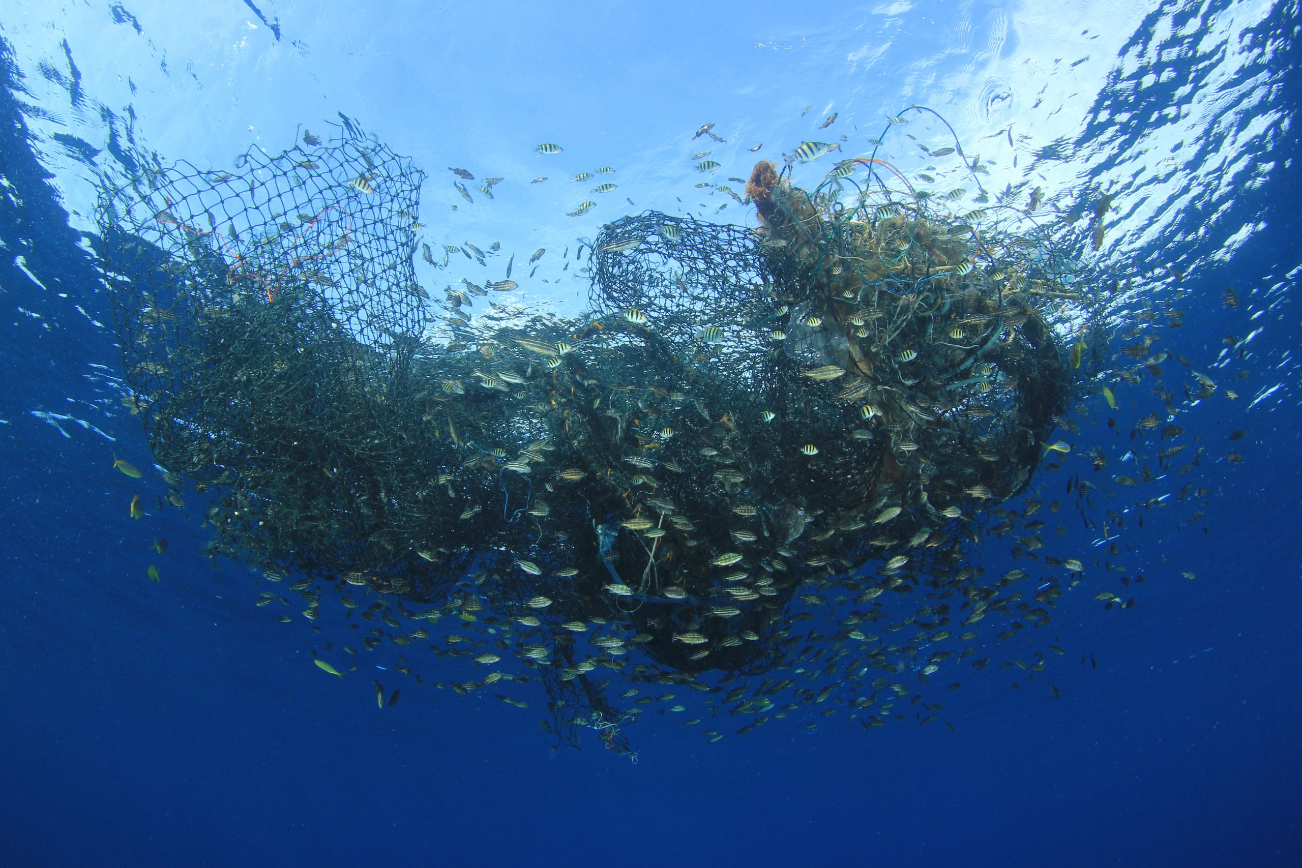 ocean net