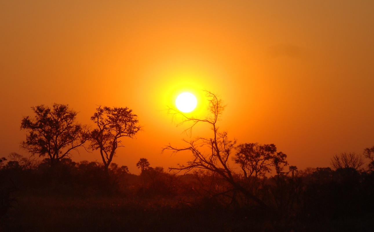 A sunset in the Okavango Delta