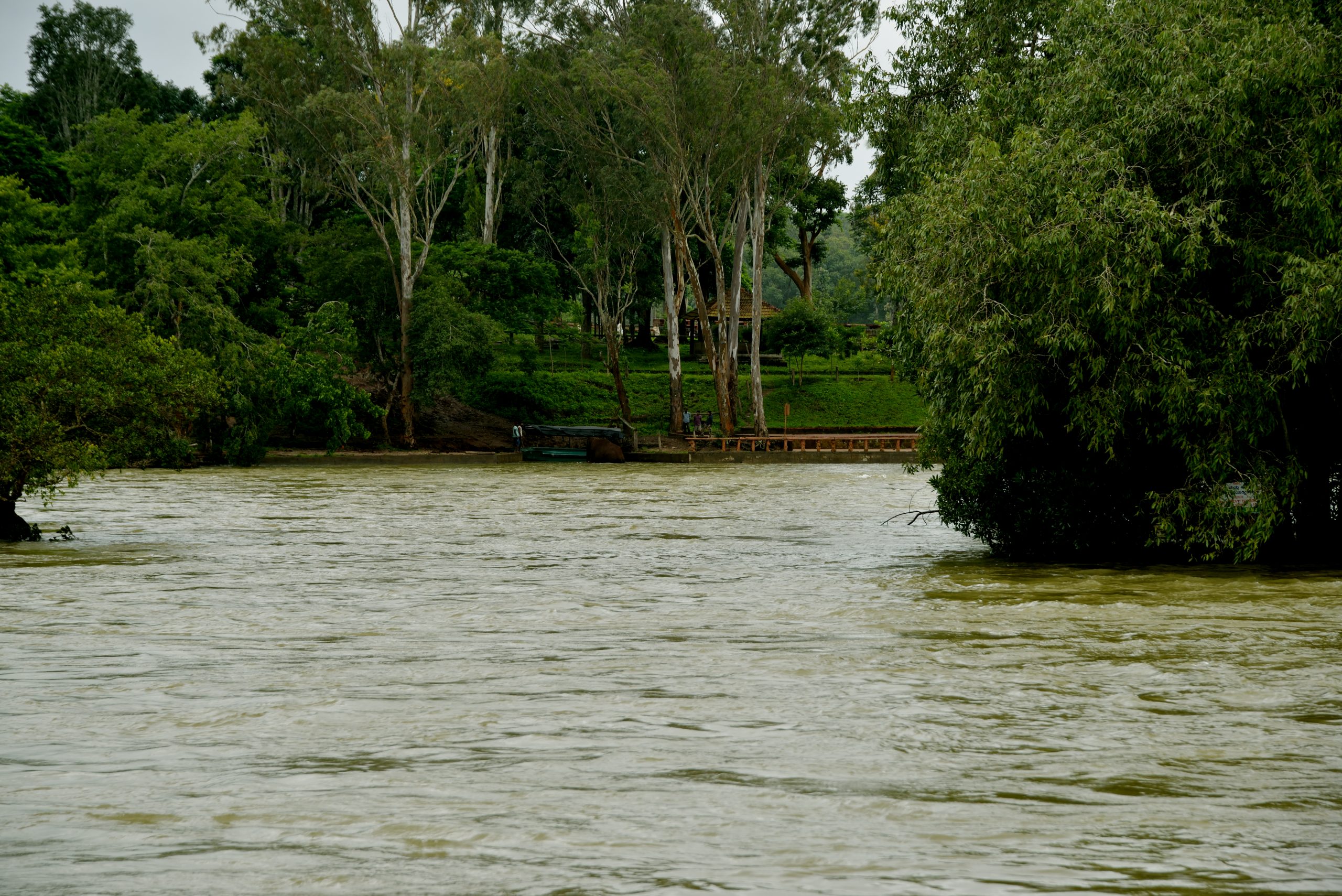 cauvery river