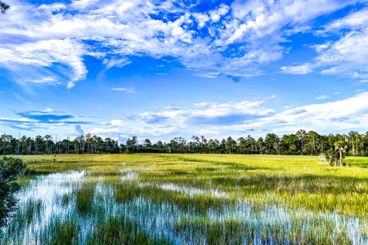 Beautiful wetland with blue sky