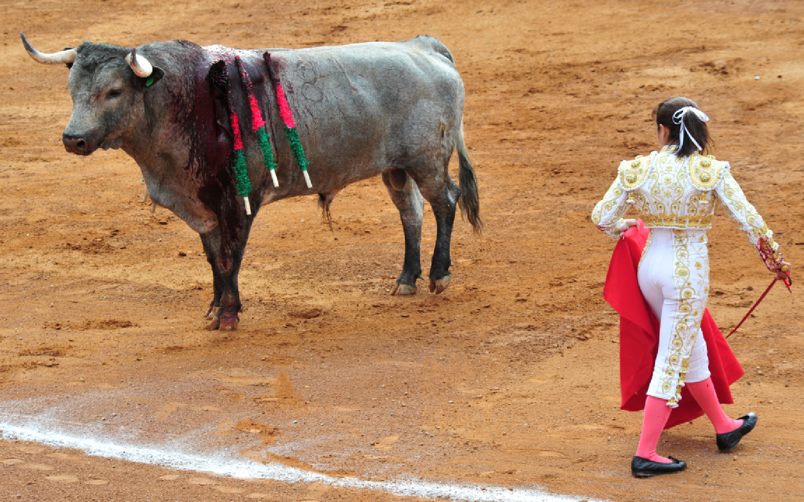 Bullfighting