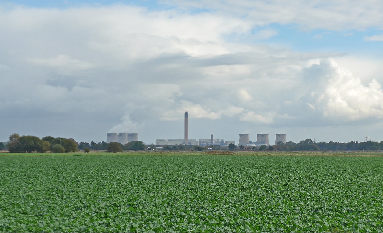 Drax power station pictured in the distance, behind trees and other vegetation