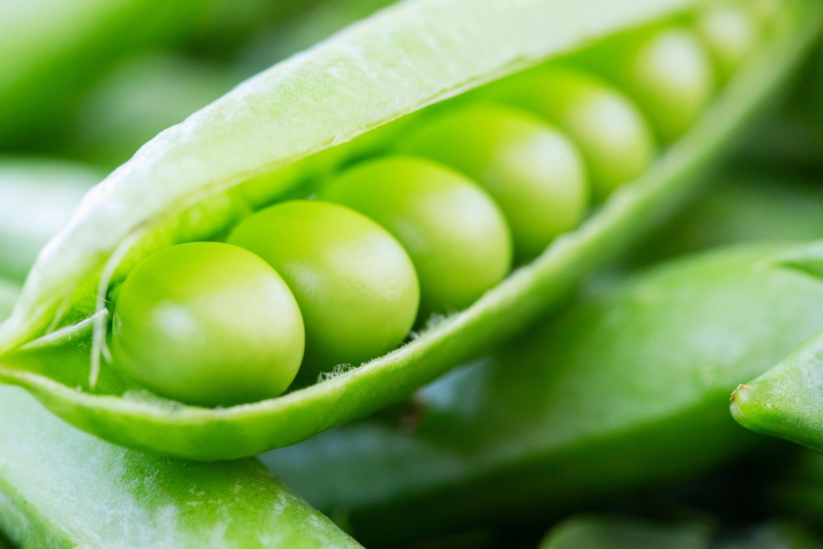 pod of green peas