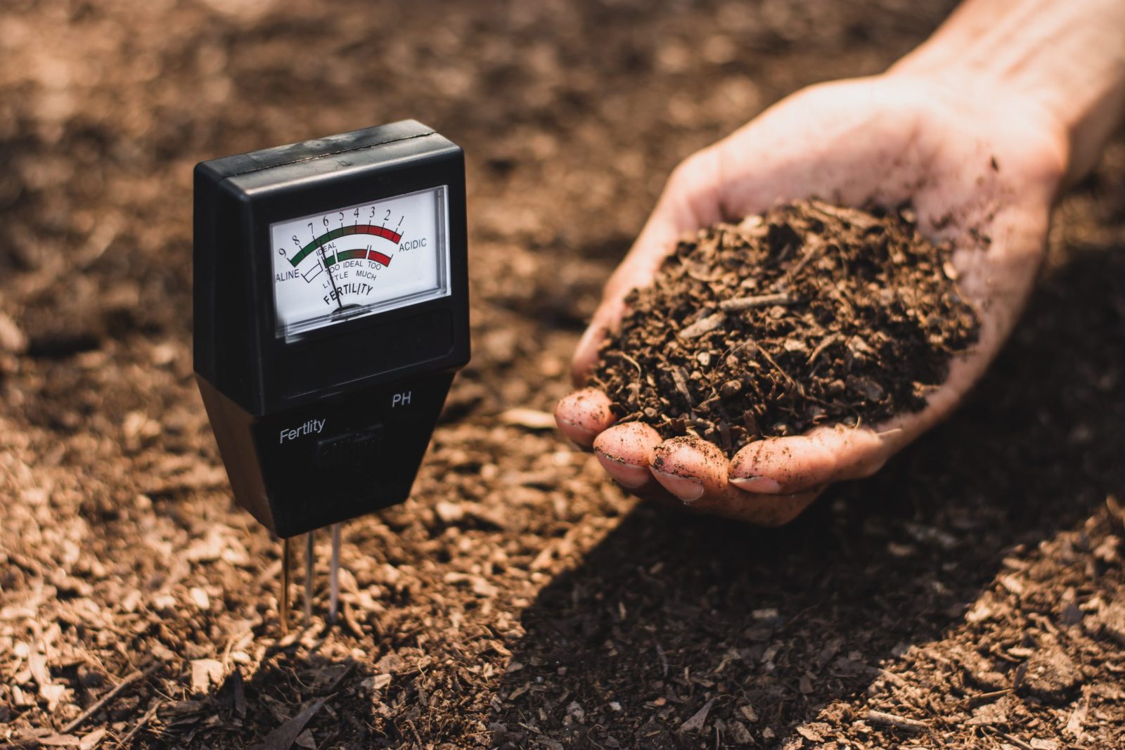 How to Adjust Your Soil pH Naturally
