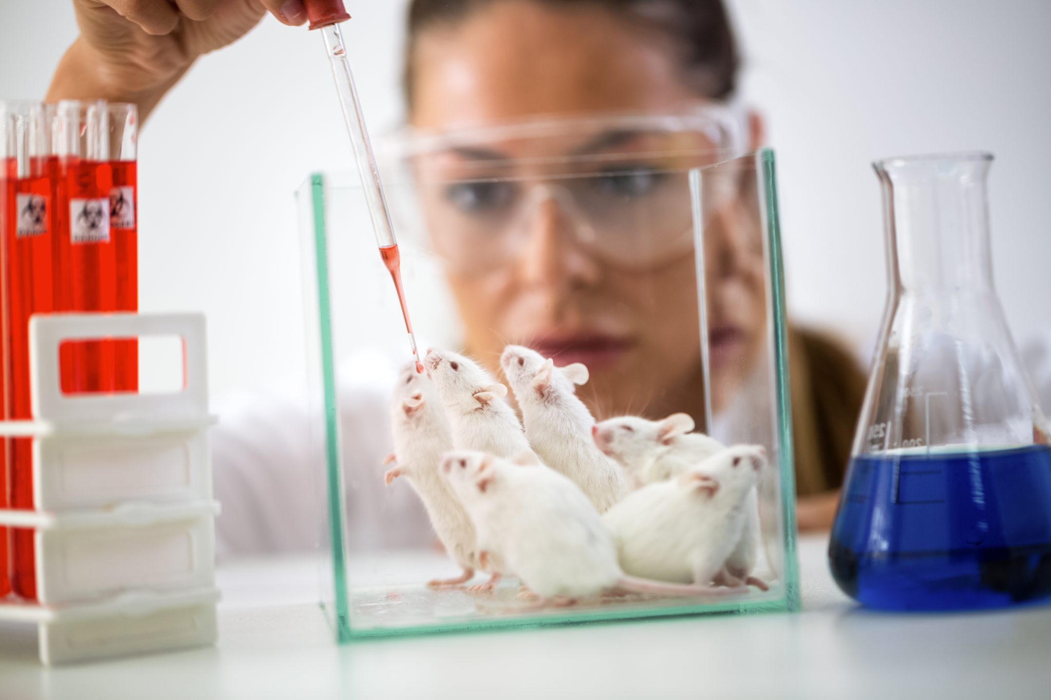 Animal lab. Мыши в лаборатории. Лаборатория клетка с мышами. Опыты на мышах. Эксперименты на грызунах.