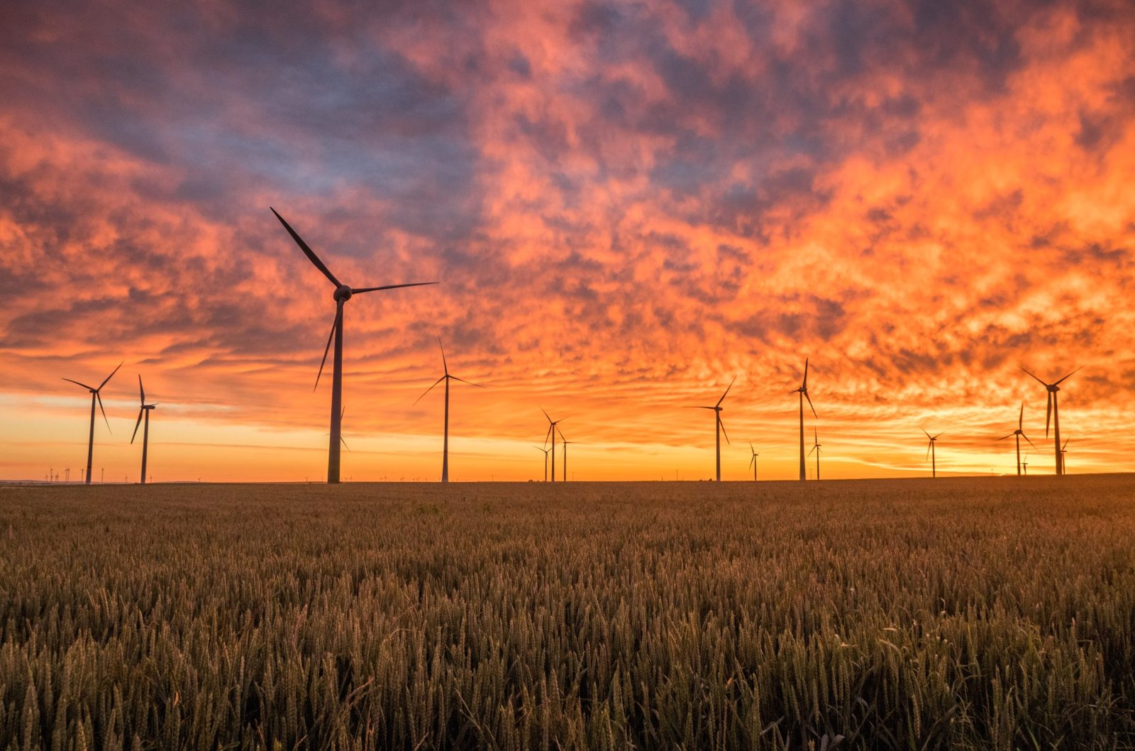 Wind Power farm with sunset