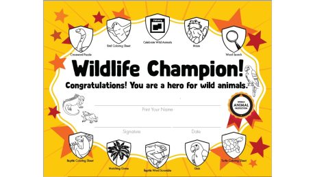 Wildlife Champion Certificate