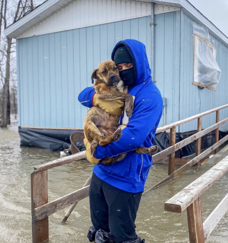 Professional Football Player Rescues Stranded Dogs From Dangerous, Icy Floodwaters