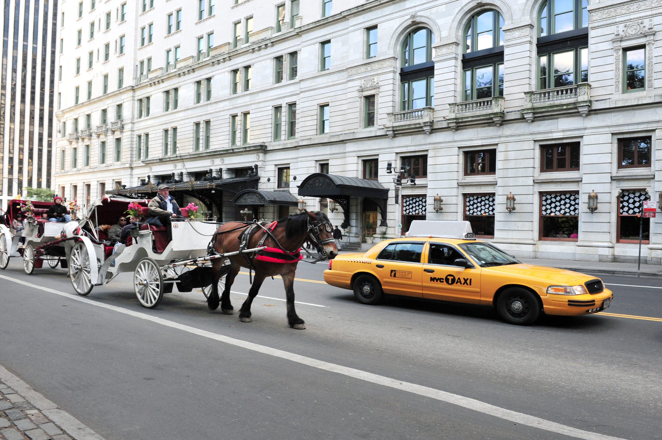 Horse-drawn carriage in NYC