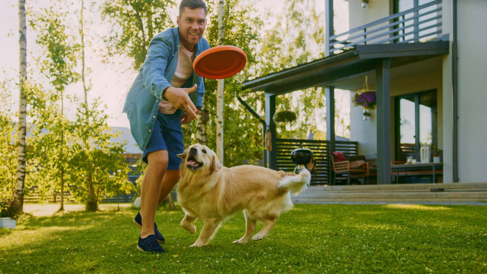 Guy throwing frisbee for his dog