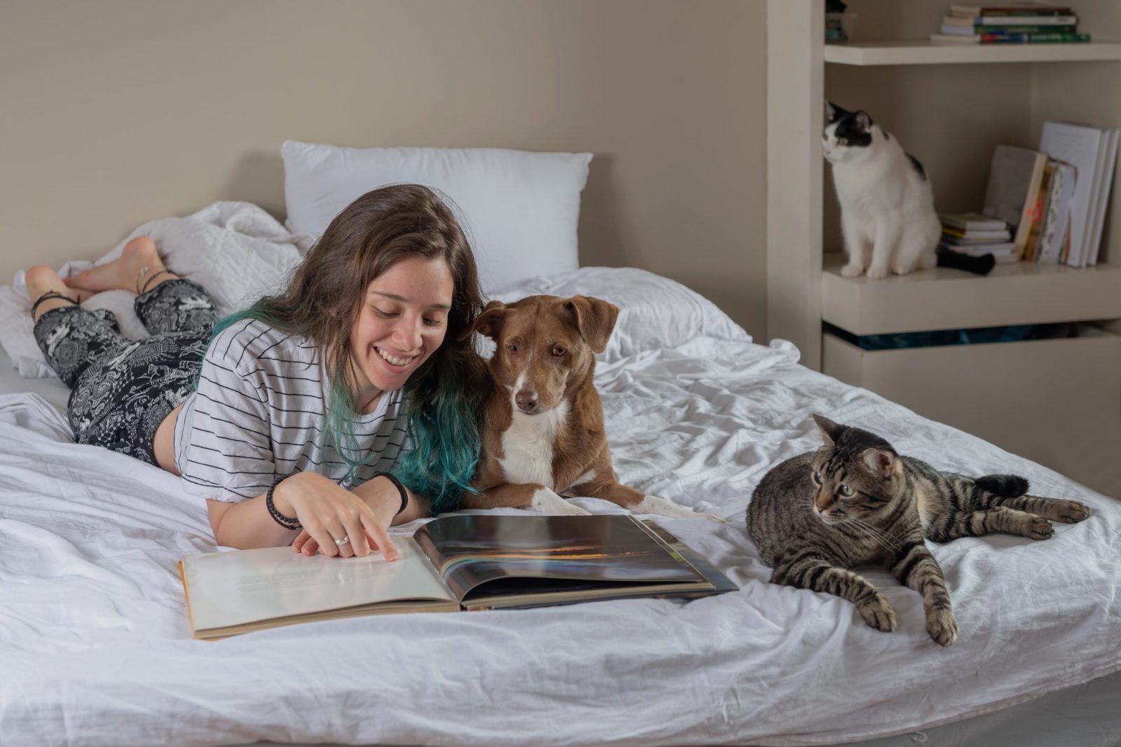 Woman reading book on bed next to a dog and cat
