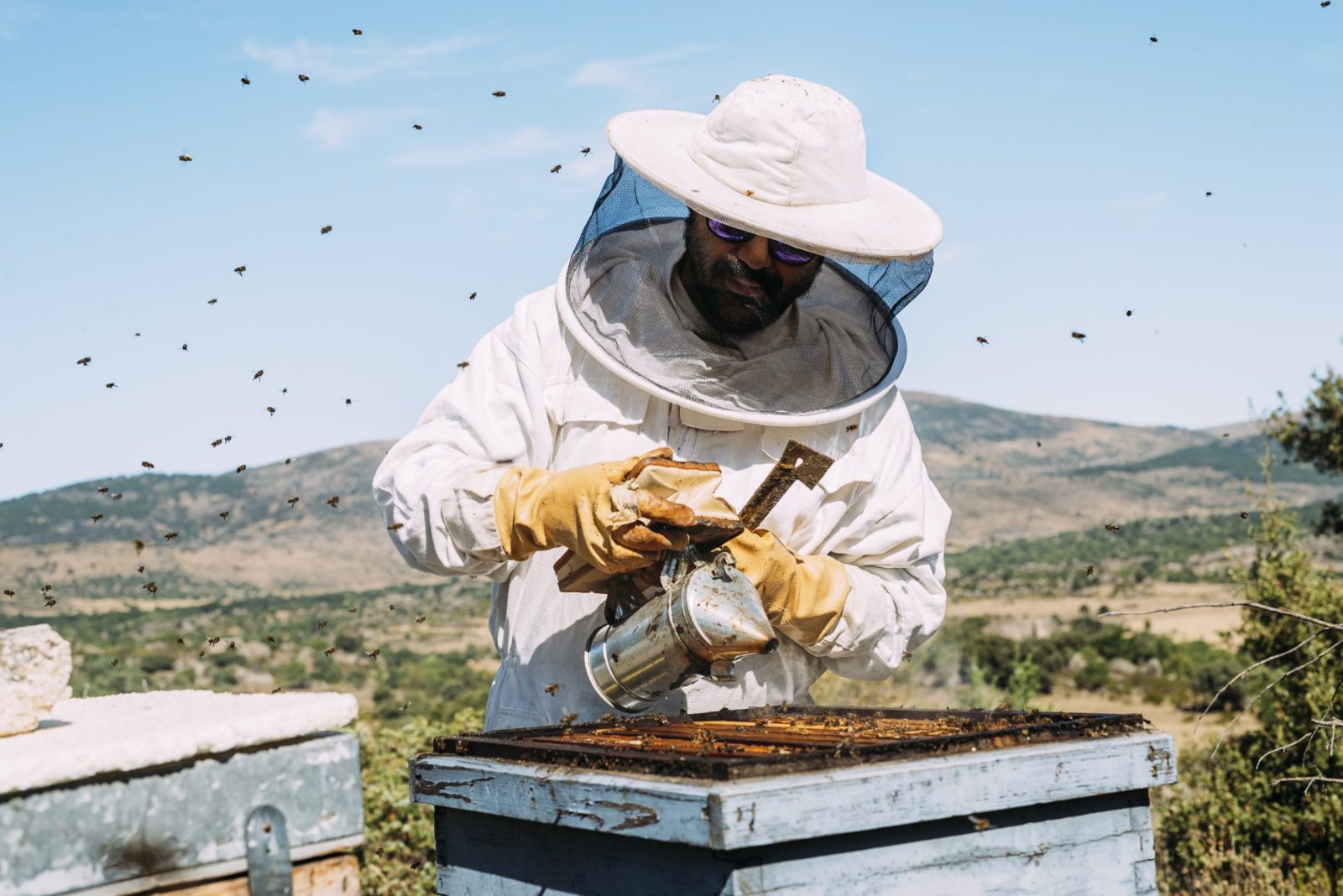 Beekeeper in uniform