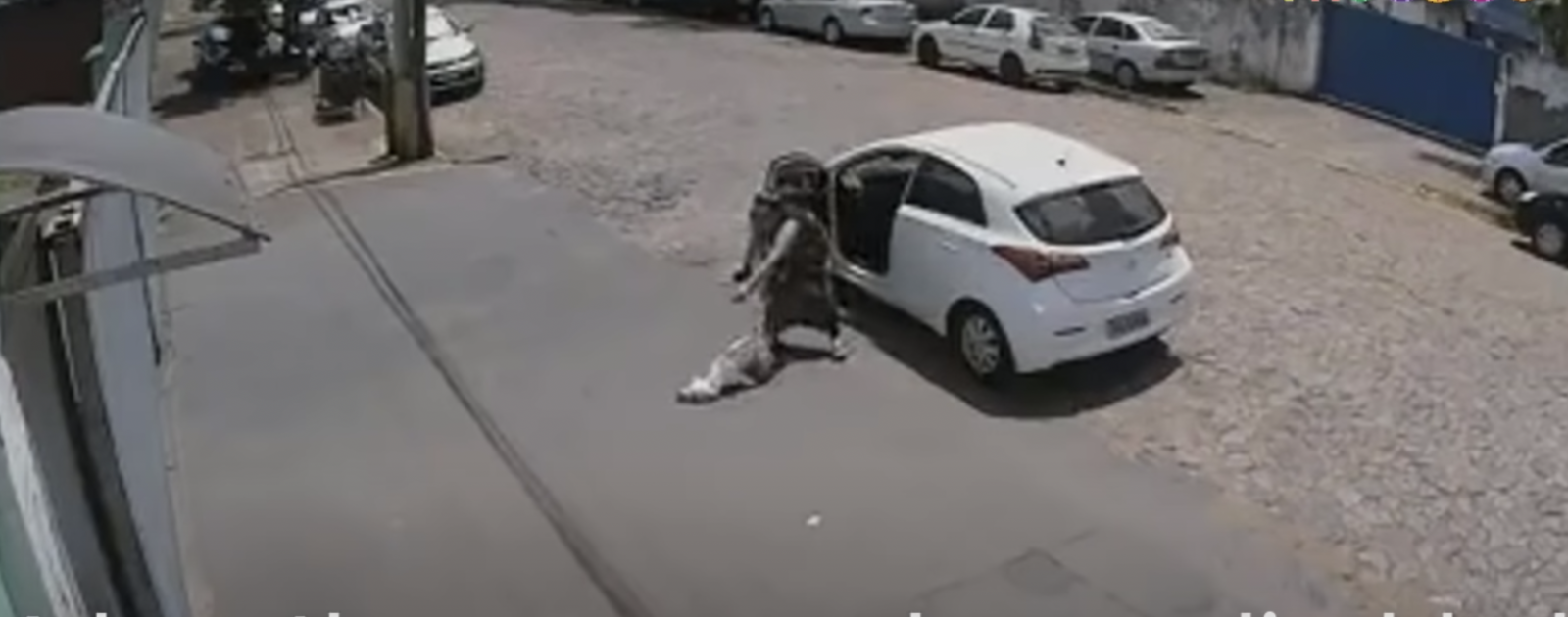 White car with woman abandoning white dog
