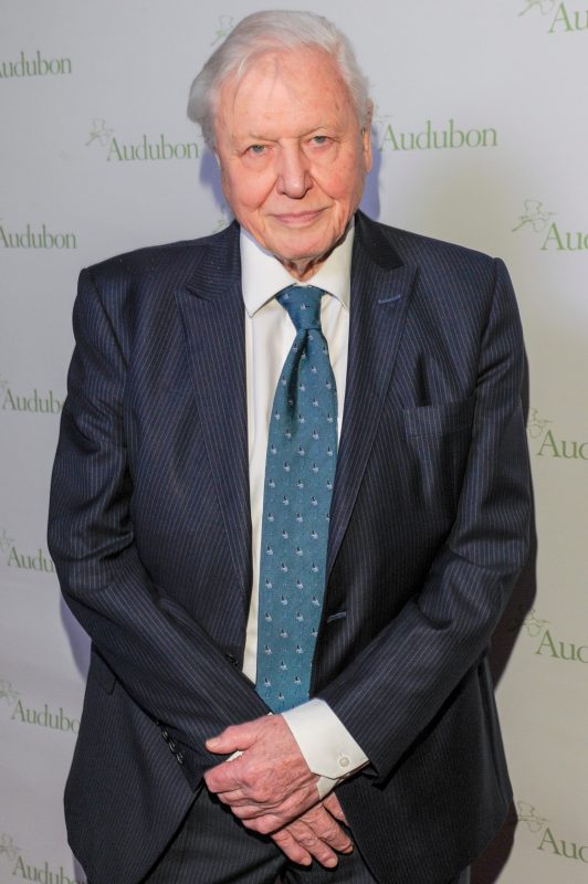 The Green Planet: New Documentary Series Hosted By Sir David Attenborough Explores Secret Life of Plants