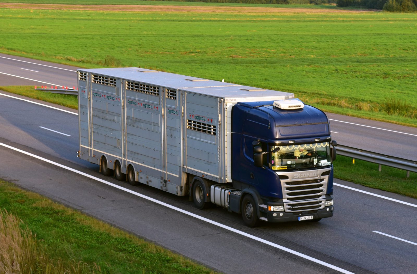 Animal transporter truck driving