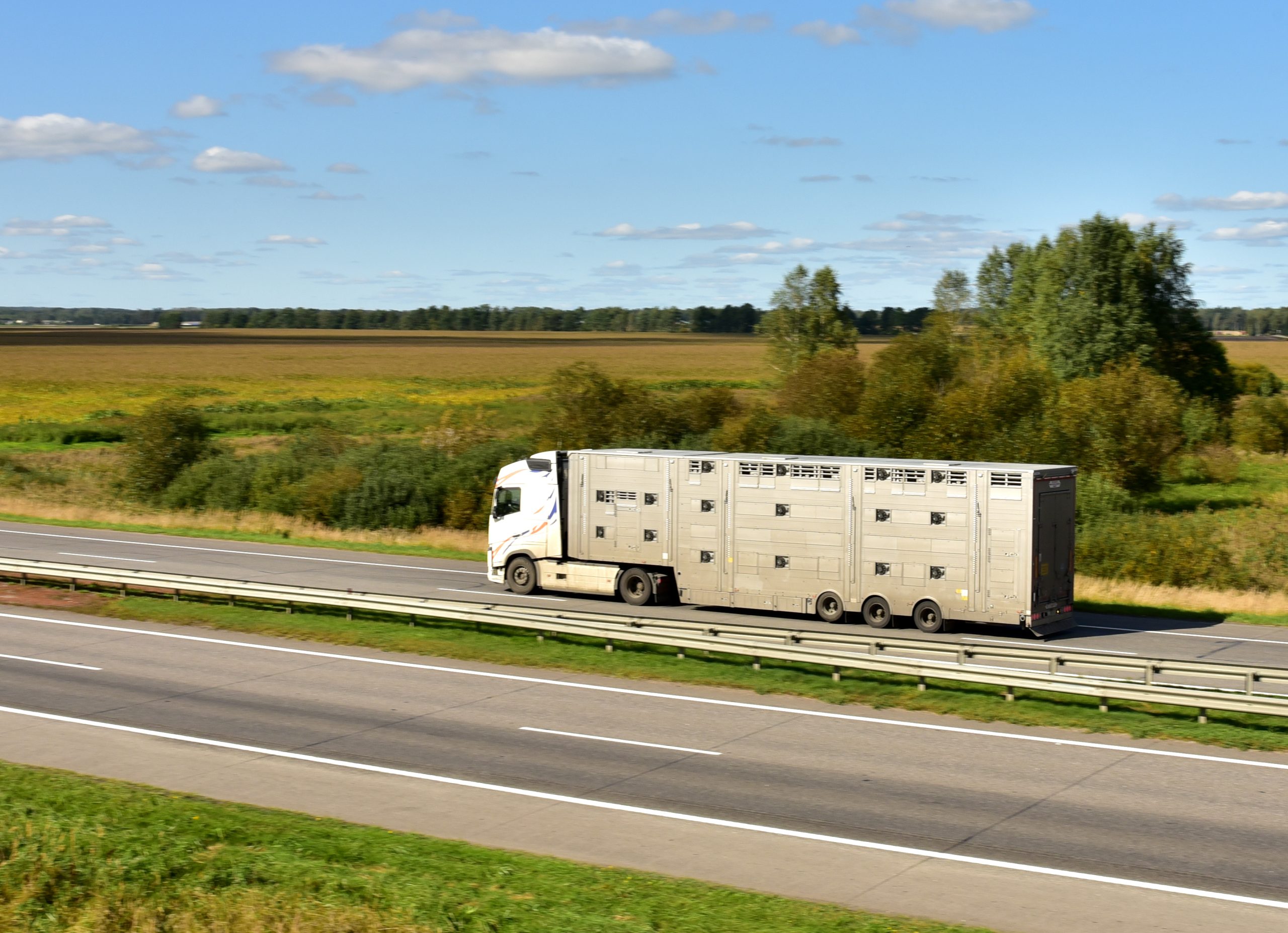 Animal transport truck driving on highway
