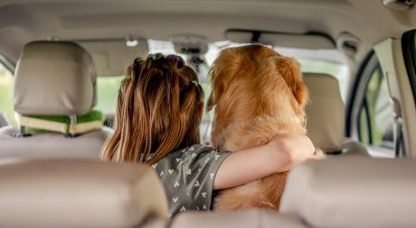 Girl with arm around dog in car