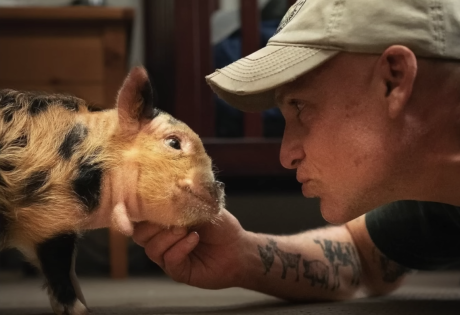 Man petting Mikey the piglet