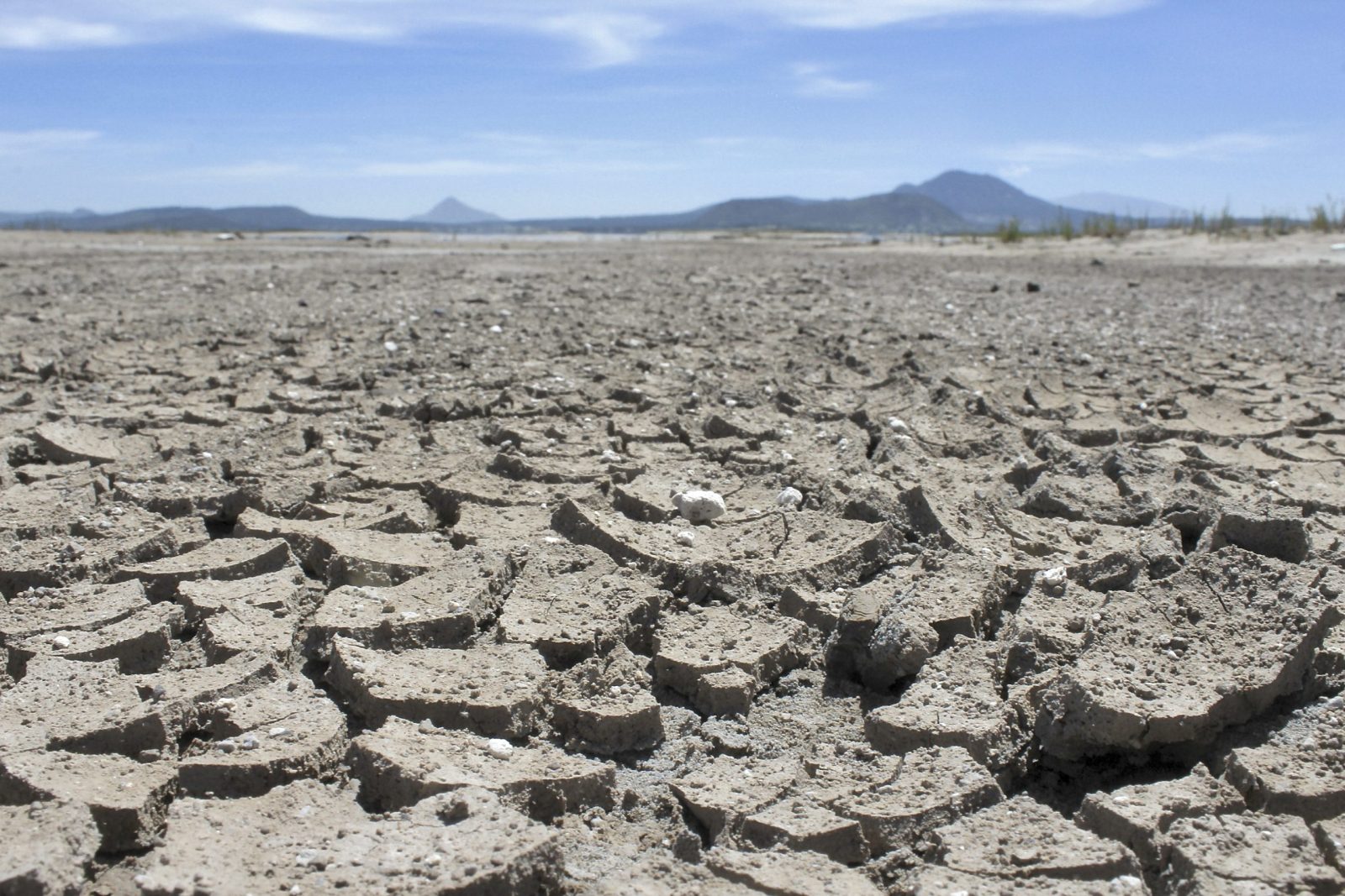 Drought in Mexico dried land cracking