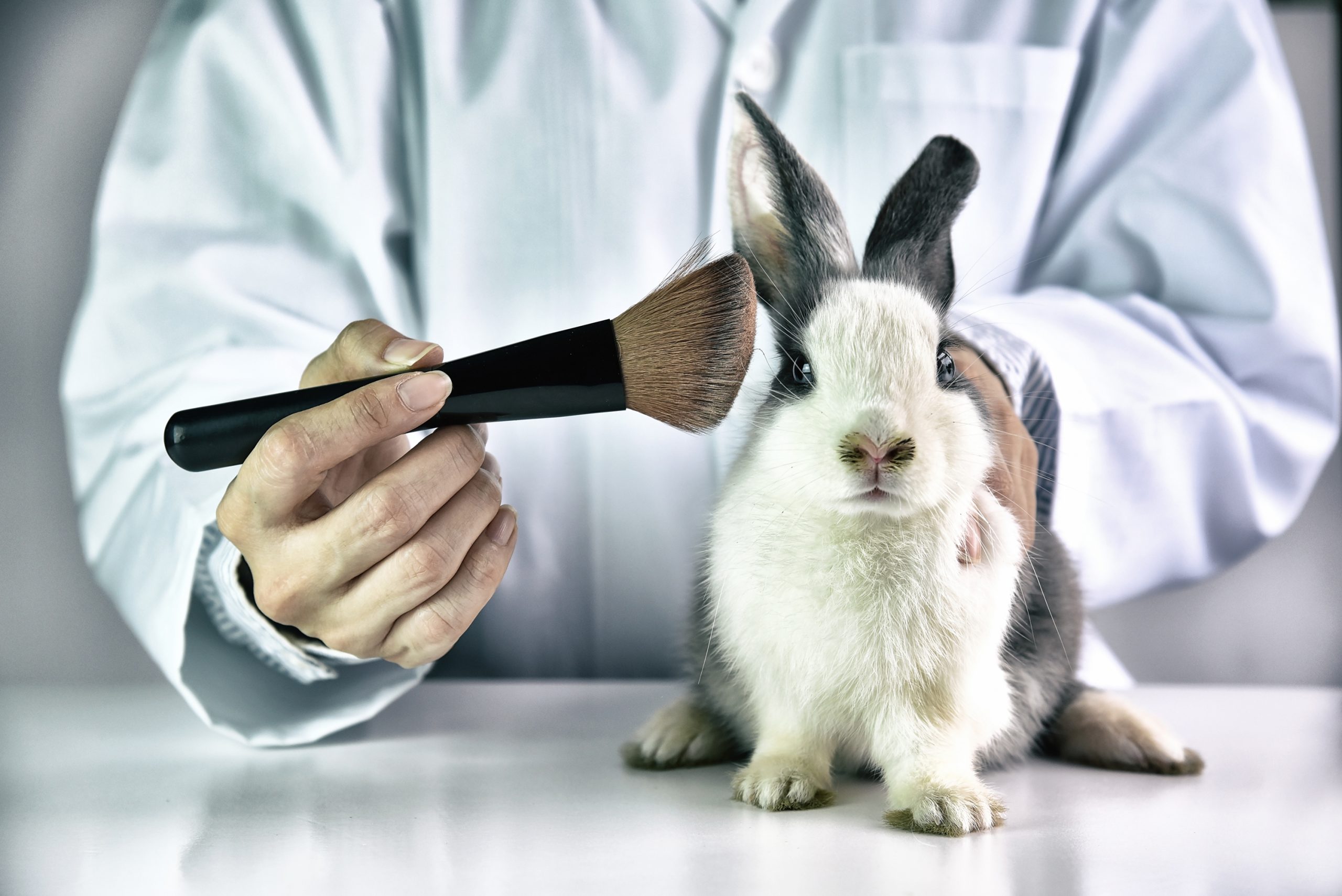 Scientist holding a makeup brush next to a bunny